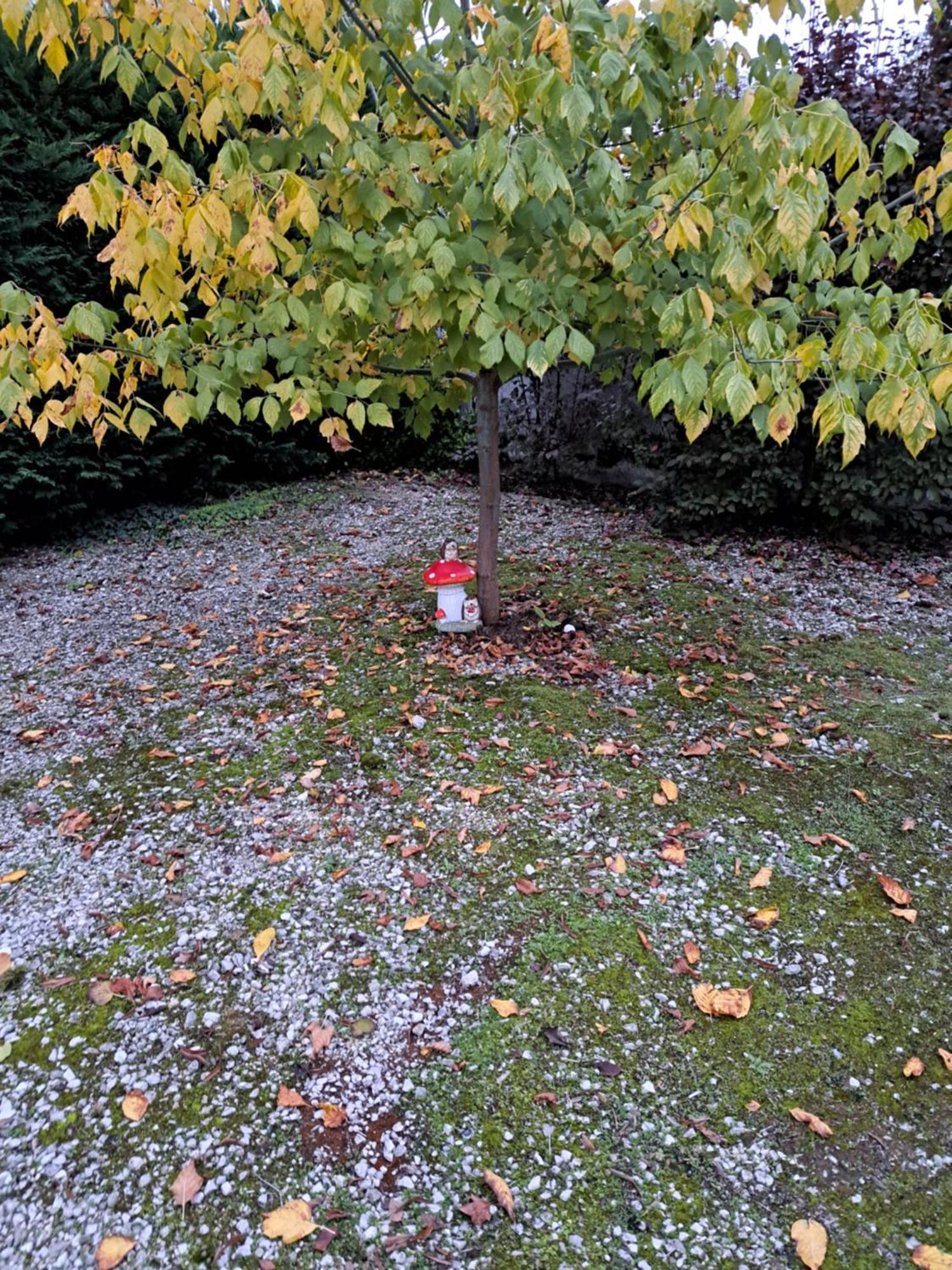 Gite Le Piege A Reves Pierre-de-Bresse Bagian luar foto