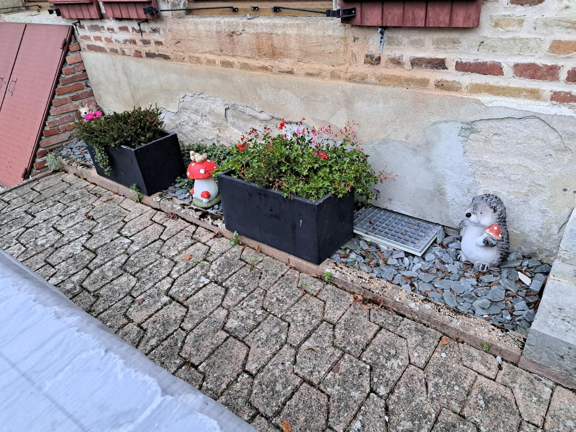 Gite Le Piege A Reves Pierre-de-Bresse Bagian luar foto